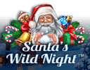 Santas Wild Night