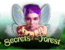 Secrets Of The Forest
