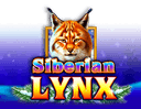 Siberian Lynx