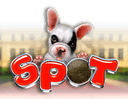 Spot