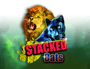 Stacked Cats