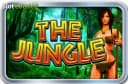The Jungle 2