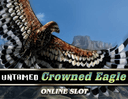 Untamed Crowned Eagle