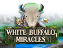 White Buffalo Miracles