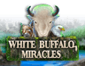 White Buffalo Miracles