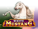 White Mustang