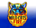 Wild Cats Fire
