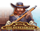 Wild Joe Gunfighter