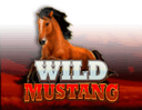 Wild Mustang