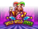 Wild Wild Joker