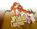 Wildcat Canyon