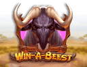 Win a Beest