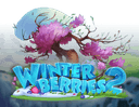 Winter Berries 2