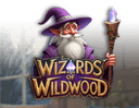 Wizards of Wild Wood