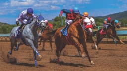 Billy the Kid Casino and Ruidoso Downs Race Track logo