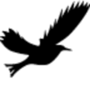 Blackbird Bend Casino Formerly Casino Omaha logo