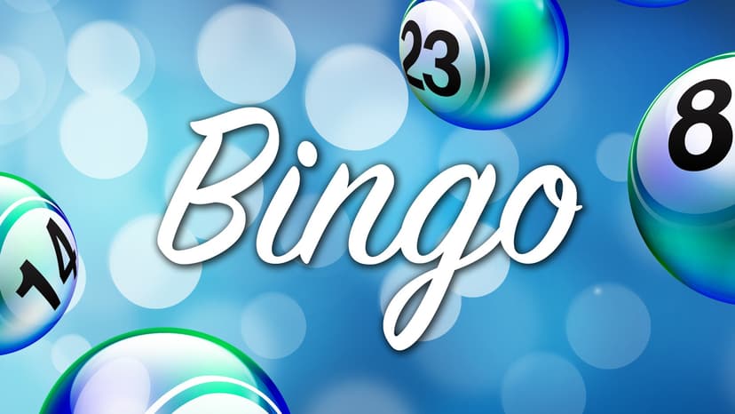 Flamingo Casino Egmond Aan Zee screenshot 4