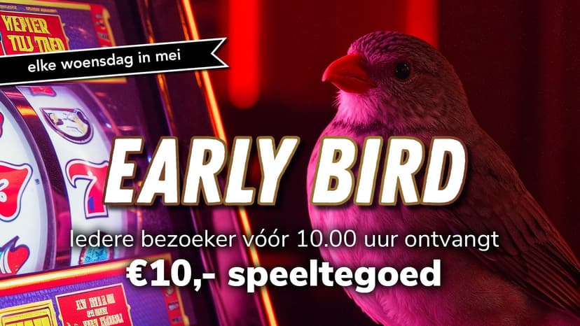 Flamingo Casino Haarlem screenshot 2