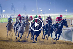 Nad Al Sheba Racecourse Dubai Racing Club logo