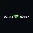 wildwinz logo
