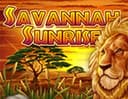 Savannah Sunrise